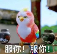 丽颖、林更新从头至尾都正在耍酷